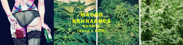 дживик Ветлуга