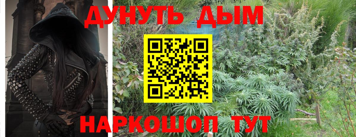 Конопля ГИДРОПОН  Вход с VPN  Алейск  Бошки Шишки гибрид  МАРИХУАНА планчик 